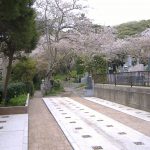 自然豊かな霊園、桜台墓苑祥雲寺。